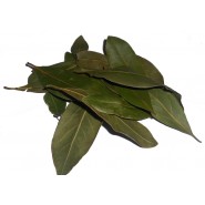 Δάφνη