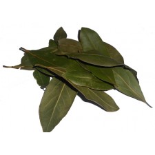 Δάφνη