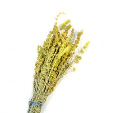 Τσάι βουνού