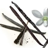 Βανίλια στικ