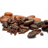 Cacao Beans