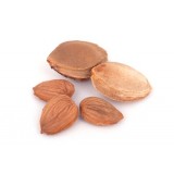 Apricot Kernels